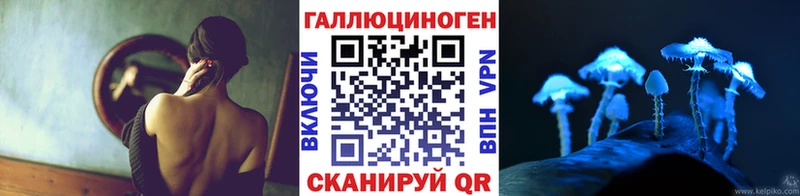 цена   Томмот  Псилоцибиновые грибы Magic Shrooms 